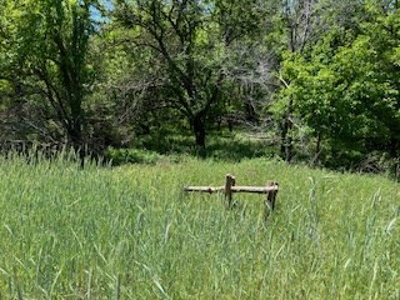 Kansas Hunting Land For Sale- Harper County- Unit 16 - image 9