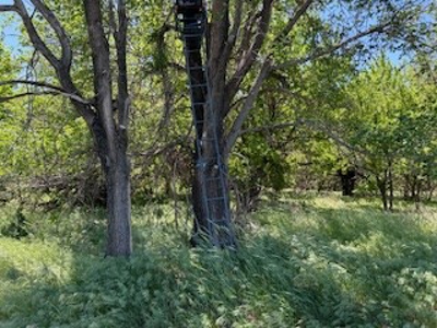 Kansas Hunting Land For Sale- Harper County- Unit 16 - image 12