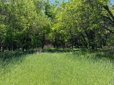 Kansas Hunting Land For Sale- Harper County- Unit 16 - image 21