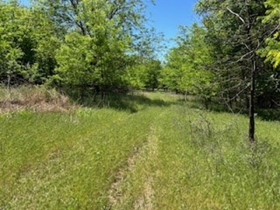 Kansas Hunting Land For Sale- Harper County- Unit 16 - image 11