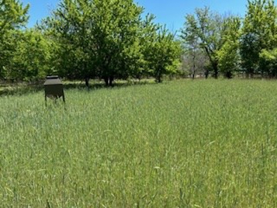 Kansas Hunting Land For Sale- Harper County- Unit 16 - image 10