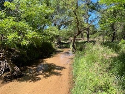 Kansas Hunting Land For Sale- Harper County- Unit 16 - image 13