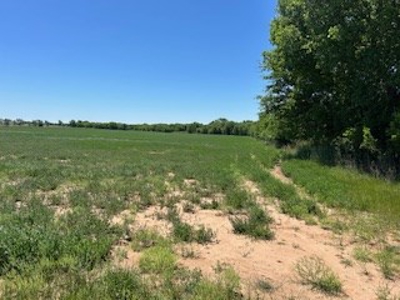 Kansas Hunting Land For Sale- Harper County- Unit 16 - image 24