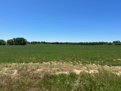 Kansas Hunting Land For Sale- Harper County- Unit 16 - image 25