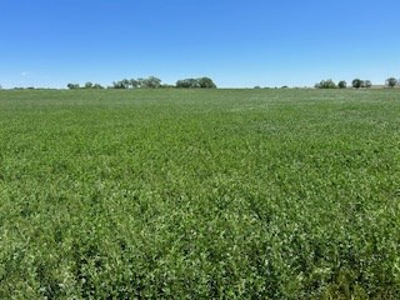 Kansas Hunting Land For Sale- Harper County- Unit 16 - image 23
