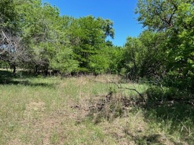 Kansas Hunting Land For Sale- Harper County- Unit 16 - image 17