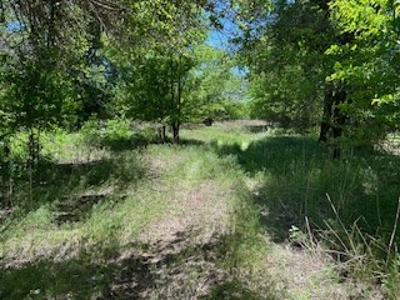 Kansas Hunting Land For Sale- Harper County- Unit 16 - image 16