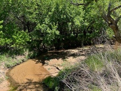 Kansas Hunting Land For Sale- Harper County- Unit 16 - image 4