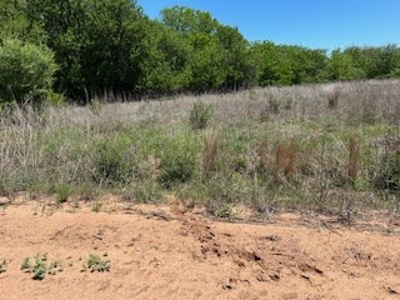 Kansas Hunting Land For Sale- Harper County- Unit 16 - image 2