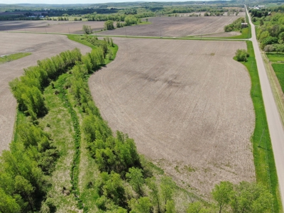 126+/- acre Tillable farm located just outside the City of B - image 24