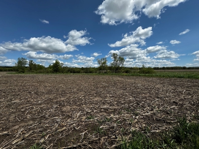 126+/- acre Tillable farm located just outside the City of B - image 34
