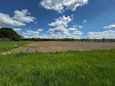 126+/- acre Tillable farm located just outside the City of B - image 4