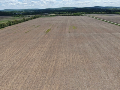 126+/- acre Tillable farm located just outside the City of B - image 31