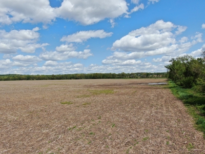 126+/- acre Tillable farm located just outside the City of B - image 7