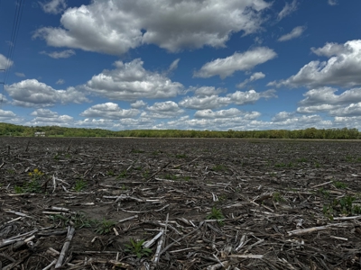 126+/- acre Tillable farm located just outside the City of B - image 38