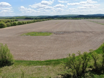 126+/- acre Tillable farm located just outside the City of B - image 30