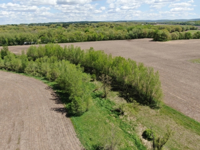 126+/- acre Tillable farm located just outside the City of B - image 28