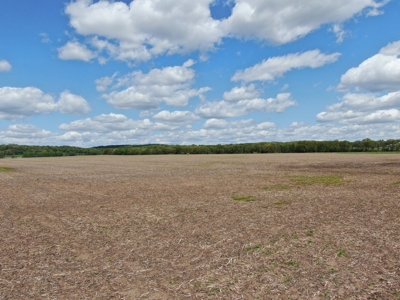 126+/- acre Tillable farm located just outside the City of B - image 6