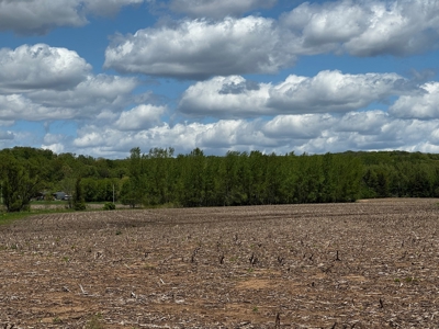 126+/- acre Tillable farm located just outside the City of B - image 37