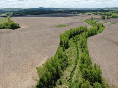 126+/- acre Tillable farm located just outside the City of B - image 23