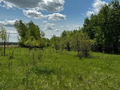 126+/- acre Tillable farm located just outside the City of B - image 22