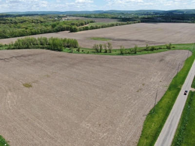 126+/- acre Tillable farm located just outside the City of B - image 1