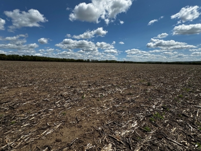 126+/- acre Tillable farm located just outside the City of B - image 5