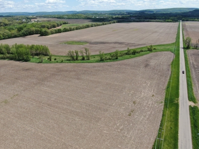 126+/- acre Tillable farm located just outside the City of B - image 2