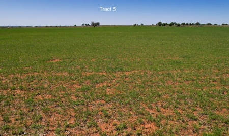 Land For Sale Near Elk City, Oklahoma - image 2