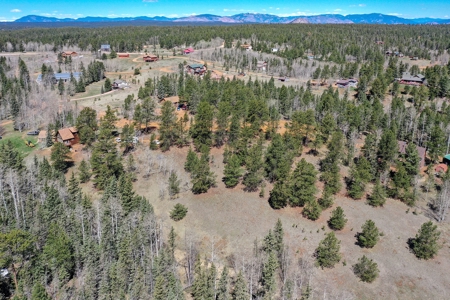 Colorado Mountain Land for Sale in Divide, CO - image 24