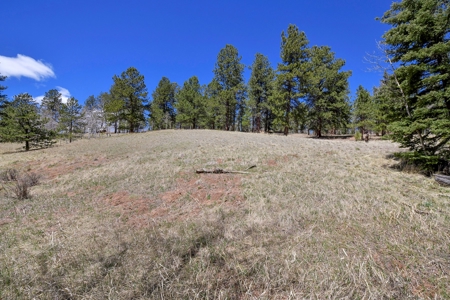 Colorado Mountain Land for Sale in Divide, CO - image 11