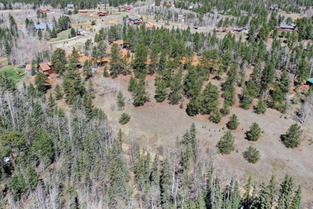 Colorado Mountain Land for Sale in Divide, CO - image 23