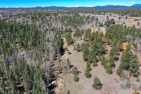 Colorado Mountain Land for Sale in Divide, CO - image 25