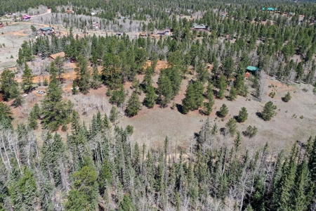 Colorado Mountain Land for Sale in Divide, CO - image 22