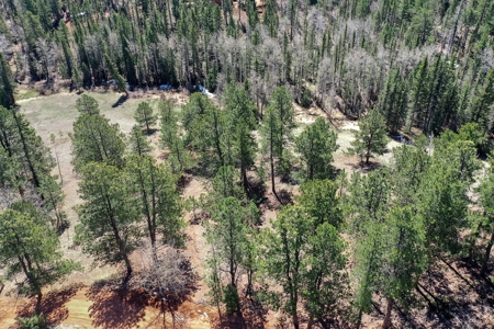 Colorado Mountain Land for Sale in Divide, CO - image 17