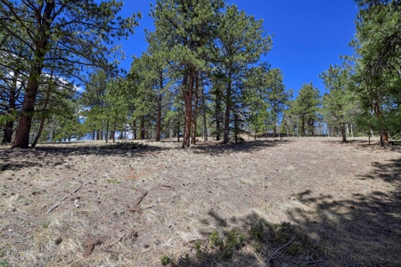 Colorado Mountain Land for Sale in Divide, CO - image 12