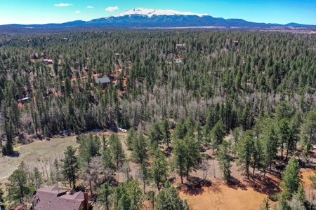 Colorado Mountain Land for Sale in Divide, CO - image 20