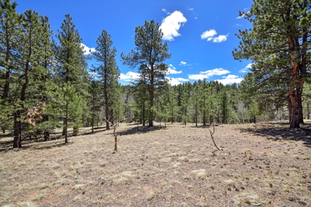 Colorado Mountain Land for Sale in Divide, CO - image 14