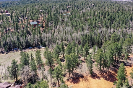 Colorado Mountain Land for Sale in Divide, CO - image 19