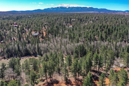 Colorado Mountain Land for Sale in Divide, CO - image 18