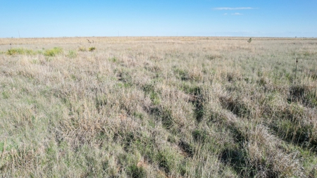 80+/- Acre Conservation Reserve Program Tract, Parmer County - image 19