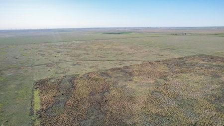 80+/- Acre Conservation Reserve Program Tract, Parmer County - image 4