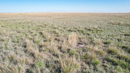 80+/- Acre Conservation Reserve Program Tract, Parmer County - image 11