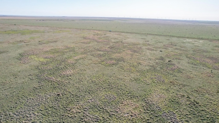 80+/- Acre Conservation Reserve Program Tract, Parmer County - image 9
