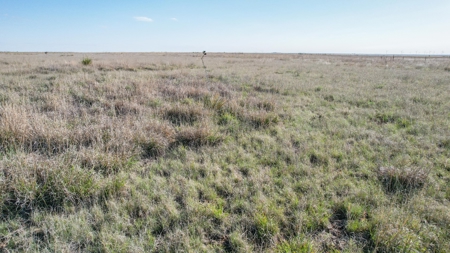 80+/- Acre Conservation Reserve Program Tract, Parmer County - image 17
