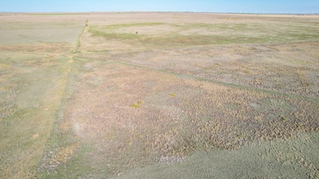 80+/- Acre Conservation Reserve Program Tract, Parmer County - image 12