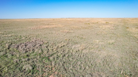 80+/- Acre Conservation Reserve Program Tract, Parmer County - image 3