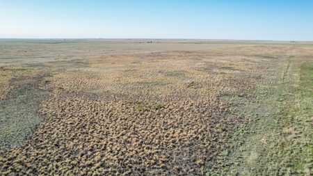 80+/- Acre Conservation Reserve Program Tract, Parmer County - image 6