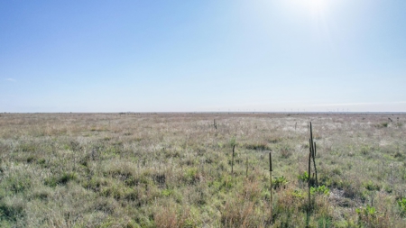 80+/- Acre Conservation Reserve Program Tract, Parmer County - image 20