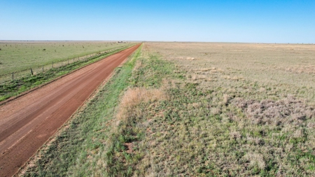 80+/- Acre Conservation Reserve Program Tract, Parmer County - image 2